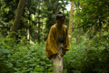 Raw Silk Kimono - Turmeric
